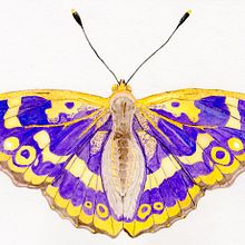 Il mio progetto del corso: Acquerelli per applicazioni su prodotti: monetizza la tua arte. Watercolor Painting, Artistic Drawing, Botanical Illustration, and Naturalistic Illustration project by Giorgia Volpe - 02.08.2023