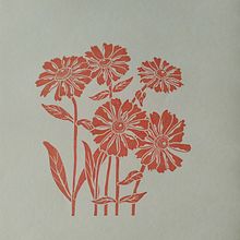 Rudbeckias. Een project van Graveren van Emilie Fallourd - 08.02.2023