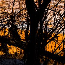 Quanto vale?. Un proyecto de Fotografía de Mauricio Simonetti - 20.12.2015