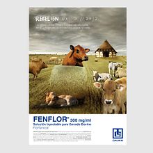 Calier. Un proyecto de Diseño de carteles, Diseño, Publicidad y Diseño gráfico de vicente salvador - 09.02.2023