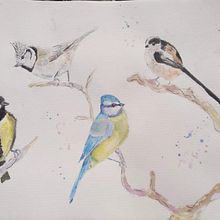 Il mio progetto del corso: Acquerello artistico per illustrazione di animali: gli uccelli. Un proyecto de Ilustración tradicional, Pintura a la acuarela, Dibujo realista e Ilustración naturalista				 de Antonio Balzarini - 08.02.2023