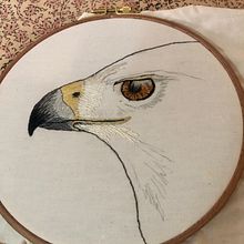 My project for course: Realistic Embroidery Techniques. Projekt z dziedziny Trad, c, jna ilustracja,  Haft, Wzornictwo tekst i liów użytkownika Colleen - 09.02.2023
