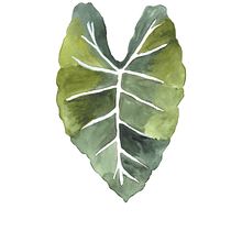 Mon projet du cours : Aquarelle botanique pour la création d’imprimés. Projekt z dziedziny Trad, c, jna ilustracja, Pattern design, Malowanie akwarelą, R i sunek botaniczn użytkownika bymurielle - 31.01.2023