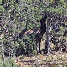 Mijn project van de cursus: Reisfotografie met je smartphone voor beginners. Mobile Photograph, Outdoor Photograph & Instagram Photograph project by Cérise Muller - 02.10.2023