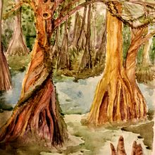 Cypress Trees. Ilustração tradicional projeto de Nancy Mills - 12.02.2023