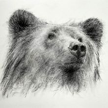 My project for course: Animal Illustration with Charcoal and Ink. Projekt z dziedziny  Sztuki piękne,  R, sunek,  R, sunek atramentem, Ilustracja naturalist i czna użytkownika Leanne Penner - 12.02.2023