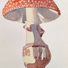 Mi proyecto del curso: Ilustración de elementos naturales en acuarela . Ilustrație tradițională, Pictură în acuarelă & Ilustrație naturalistă de Desirée Lara - 02.12.2023