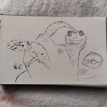 Meu projeto do curso: Sketching diário para inspiração criativa Ein Projekt aus dem Bereich Traditionelle Illustration, Skizzenentwurf, Kreativität, Zeichnung und Sketchbook von Angela P - 12.02.2023