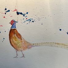 My project for course: Artistic Watercolor Techniques for Illustrating Birds. Traditional illustration, Watercolor Painting, Realistic Drawing, and Naturalistic Illustration project by Heather Brack - 02.12.2023