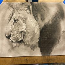 Charcoal piece of a lion . Projekt z dziedziny Trad, c i jna ilustracja użytkownika Shanelle Brooks - 13.02.2023