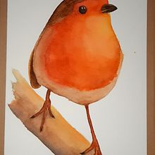 Colorful sweet bird to my "Italian Forest" project. Un progetto di Illustrazione tradizionale, Belle arti, Pattern design, Pittura ad acquerello, Stationer, Design e Illustrazione infantile di Griselda Scarafia - 03.02.2022
