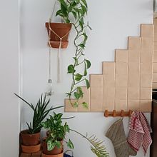 Mój projekt z kursu: Efektowna dekoracja wnętrz z użyciem roślin. Interior Design, L, scape Architecture, Decoration, Interior Decoration, DIY, Floral, Plant Design, and Spatial Design project by Aleksandra - 02.13.2023