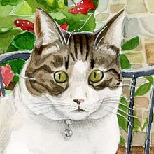Pets watercolors. Watercolor Painting, and Traditional illustration project by Paula Ahumada - 02.13.2023