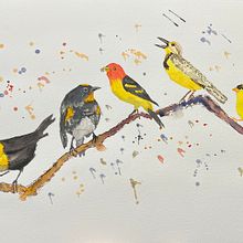 My project for course: Artistic Watercolor Techniques for Illustrating Birds. Traditional illustration, Watercolor Painting, Realistic Drawing, and Naturalistic Illustration project by Nic Steenhout - 02.13.2023