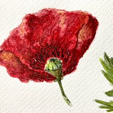 My project for course: Botanical Illustration with Watercolors. Traditional illustration, Fine Arts, Painting, Drawing, Watercolor Painting, and Botanical Illustration project by Kristina - 08.19.2022