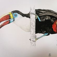 Mon projet du cours : Illustration naturaliste d'oiseaux à l'aquarelle. Projekt z dziedziny Tradycyjna ilustracja, Malowanie akwarelą, Rysunek realistyczny i Ilustracja naturalistyczna użytkownika anna_stier - 15.02.2023