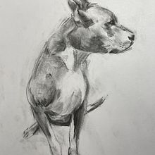 Animal Illustration with Charcoal and Ink: Monoprints and Bison study. Fine Arts, Drawing, Ink Illustration, and Naturalistic Illustration project by rabbitrebel - 02.16.2023