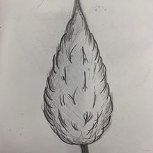 Arbres . Un projet de Dessin au cra , et on de Carla Ruiz - 16.02.2023