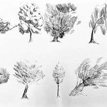DA - Dibujos de árboles. Traditional illustration, Ink Illustration, and Artistic Drawing project by W4D - 02.16.2023