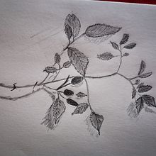Verschiedene Objektzeichnungen. Pencil Drawing project by Heinrich Giefing - 02.16.2023