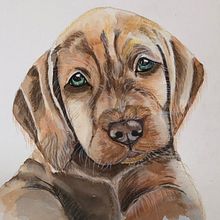 Mein Abschlussprojekt für den Kurs: Ausdrucksstarke Tierporträts in Aquarell. Traditional illustration, Watercolor Painting, Realistic Drawing, and Naturalistic Illustration project by pen_creativ - 02.16.2023