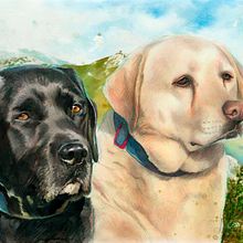 Labrador retriever portrait drawing by Mentiradeloro Ein Projekt aus dem Bereich Traditionelle Illustration, Porträtzeichnung und Realistische Zeichnung von Mentiradeloro Esther Cuesta - 13.02.2023