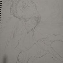 Meu projeto do curso: Sketchbook de natureza fantástica: minhas criaturas!!!!. Pencil Drawing, Drawing, Watercolor Painting, Sketchbook, and Naturalistic Illustration project by Fernanda Coiado - 02.16.2023