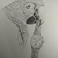 Disegno a matita. Traditional illustration project by Antonella Antonini - 02.17.2023
