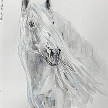 My project for course: Expressive Animal Portraits in Watercolor. Un projet de Illustration traditionnelle, Aquarelle, Dessin réaliste et Illustration naturaliste de Nelvia McGrath - 09.02.2023