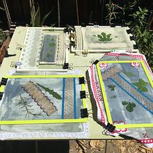 Mi proyecto del curso: Bluework: cianotipia y bordado. Projekt z dziedziny Trad, c, jna ilustracja, Craft,  Sztuki piękne, Papercraft, Stemple, DIY, Druk tekst, ln, Wzornictwo tekst i liów użytkownika Jenny Sepúlveda Benavides - 17.02.2023