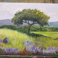 Pinturas. Een project van  Beeldende kunst y  Olieverfschilderij van Francisco Plaza Bolaños - 18.02.2023