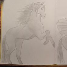 Mi proyecto del curso: Dibujo a lápiz de animales realistas para cuentos. Character Design, Pencil Drawing, Drawing, and Children's Illustration project by Mariana Laura - 02.15.2023