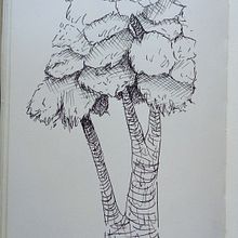 Práctica de Árboles a Lápiz y Tinta. Sketching, and Sketchbook project by Ainhoa Venegas - 12.02.2022
