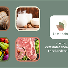 Logo - La vie saine. Br, ing, Identit, Design, and Graphic Design project by walko - 02.15.2023