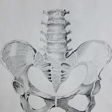 Mi proyecto del curso: Dibujo anatómico con lápiz de grafito para principiantes Ein Projekt aus dem Bereich Bildende Künste, Bleistiftzeichnung, Zeichnung, Realistische Zeichnung und Anatomische Zeichnung von Krla Guti - 18.02.2023
