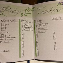 My project for course: Bullet Journaling: Illustrated Planning. Arts, Crafts, Watercolor Painting, DIY, Management, Productivit, and Business project by Kate Tully - 02.20.2023