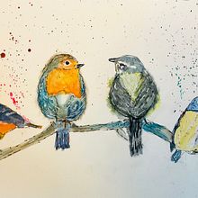Bird drawings/watercolors. Fine Arts project by Heather Brack - 02.20.2023