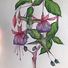 Meu projeto do curso: Ilustração naturalista com guache e aquarela. Projekt z dziedziny  Sztuki piękne,  Malarstwo, Malowanie akwarelą, R, sunek botaniczn, Ilustracja naturalist, czna i Malowanie gwaszami użytkownika Iana Ursolenco - 21.02.2023