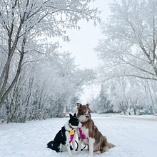 Invierno 2022. Un proyecto de Fotografía, Fotografía con móviles, Fotografía digital y Fotografía en exteriores de Daniela Acuña - 13.02.2023