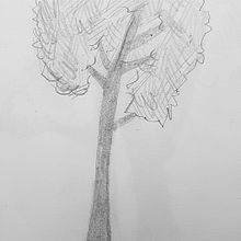 Dibujos arboles. Ilustração tradicional projeto de Marc Pérez - 21.02.2023