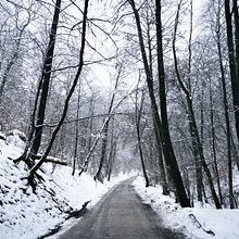 Beginner’s Photography. Photograph project by evgenia_resh - 02.21.2023