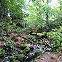 My project for course: Painting Realistic Watercolor Landscapes. Un progetto di Belle arti, Pittura, Bozzetti, Pittura ad acquerello e Illustrazione naturalistica di Ally Wragg - 21.02.2023