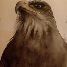 Mi proyecto del curso: Acuarela naturalista con expresión y personalidad. Un proyecto de Ilustración tradicional, Pintura a la acuarela e Ilustración naturalista				 de Paula FERREYRA - 21.02.2023