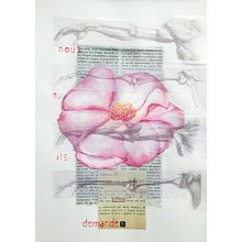 sperimentazioni. Traditional illustration project by Sonia Andrighetto - 02.21.2023