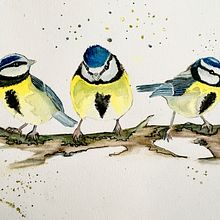 Mon projet du cours : Techniques artistiques d'aquarelle pour illustrer les oiseaux. Un projet de Illustration traditionnelle, Aquarelle, Dessin réaliste et Illustration naturaliste de miss_egon - 22.02.2023