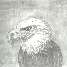 Mi proyecto del curso: Dibujo naturalista de animales con grafito. Projekt z dziedziny Trad, c, jna ilustracja, R, sunek ołówkiem,  R, sunek, Ilustracja naturalist i czna użytkownika Cesiah Gallegos González - 22.02.2023