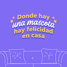 Feria de Mascotas | Campaña Retail. Un proyecto de Publicidad de Ignaurys Matos - 22.02.2023