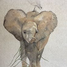 Mon projet du cours : Portraits expressifs d'animaux à l'aquarelle. Un proyecto de Pintura a la acuarela, Ilustración tradicional, Dibujo realista e Ilustración naturalista				 de Sylvie Perret Caranton - 18.02.2023