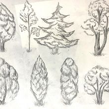 Treball arbres. Ilustração tradicional projeto de Martina Martinez - 23.02.2023
