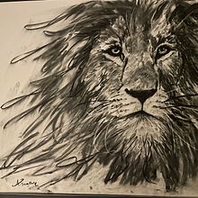My project for course: Animal Illustration with Charcoal and Ink. Fine Arts, Drawing, Ink Illustration, and Naturalistic Illustration project by Ann - 02.24.2023
